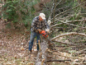 Bob manned the chain saw